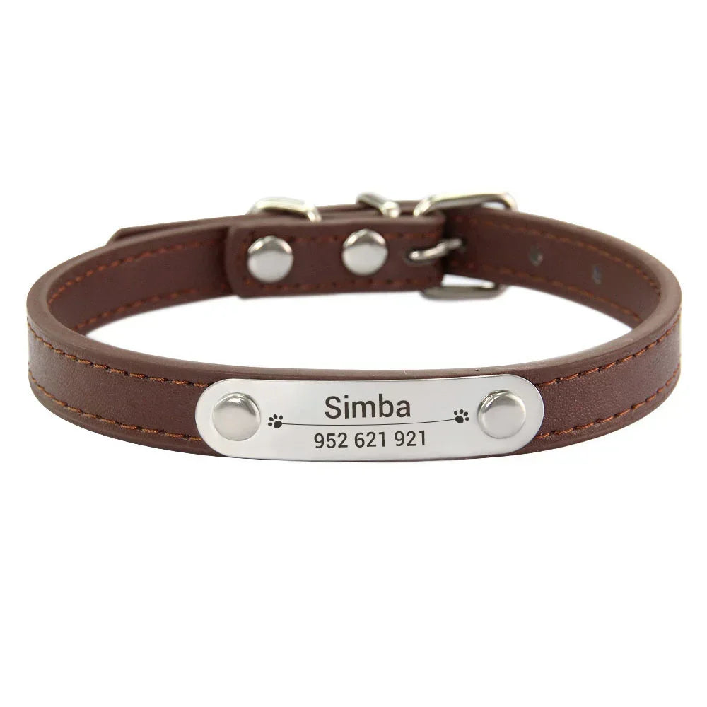 Personalized Dog Collar with Engraved Nameplate