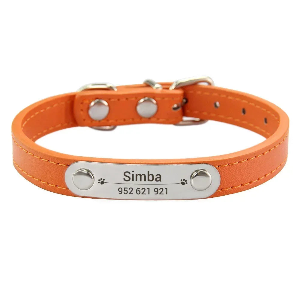 Personalized Dog Collar with Engraved Nameplate