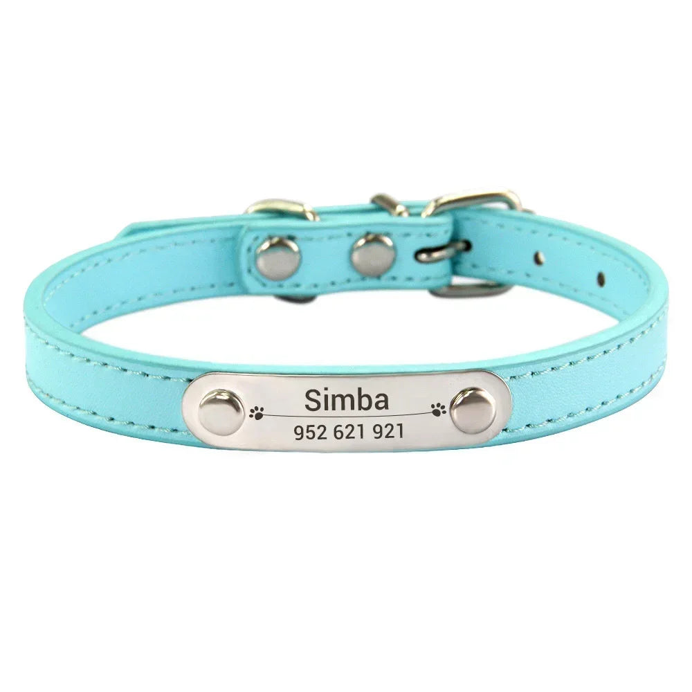Personalized Dog Collar with Engraved Nameplate