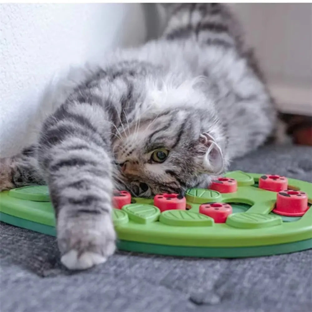 Cat Treat Puzzle with Adjustable Difficulty