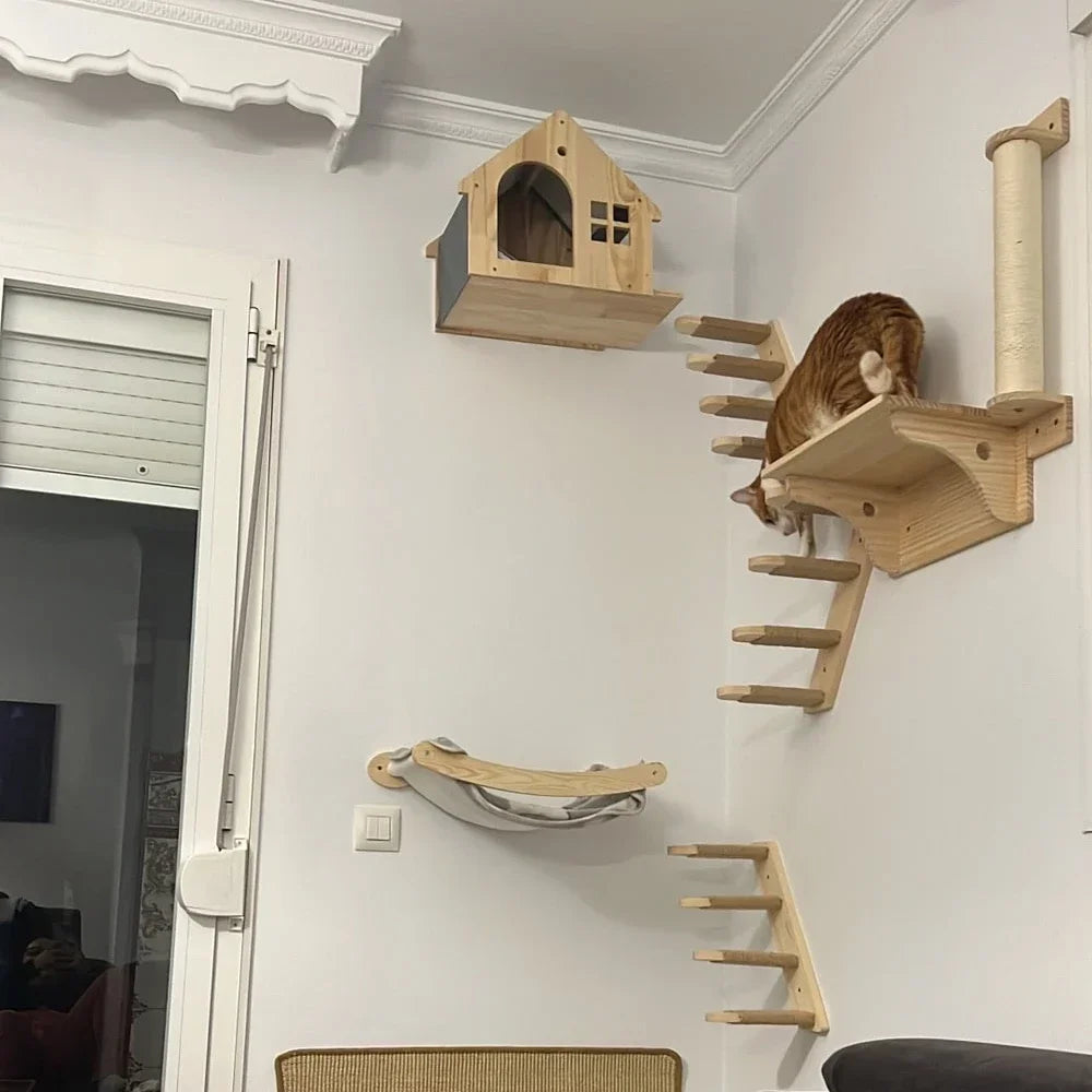 Wall-Mounted Cat Shelves & Climbing Furniture