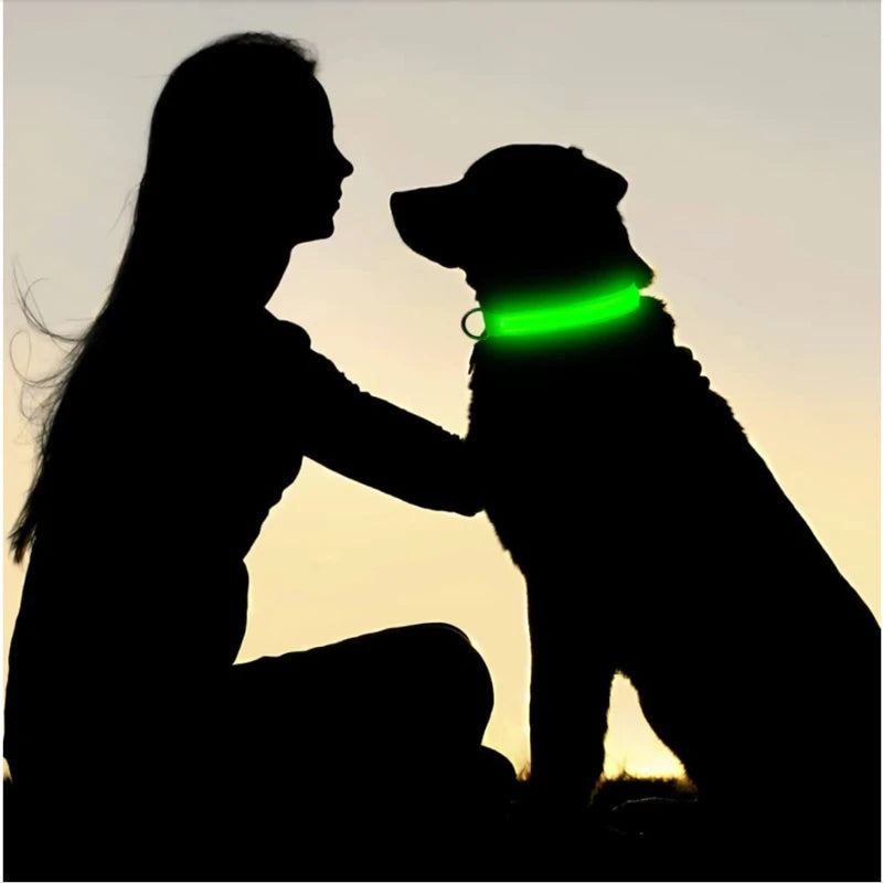 USB Rechargeable LED Dog Collar with 3 Light Modes
