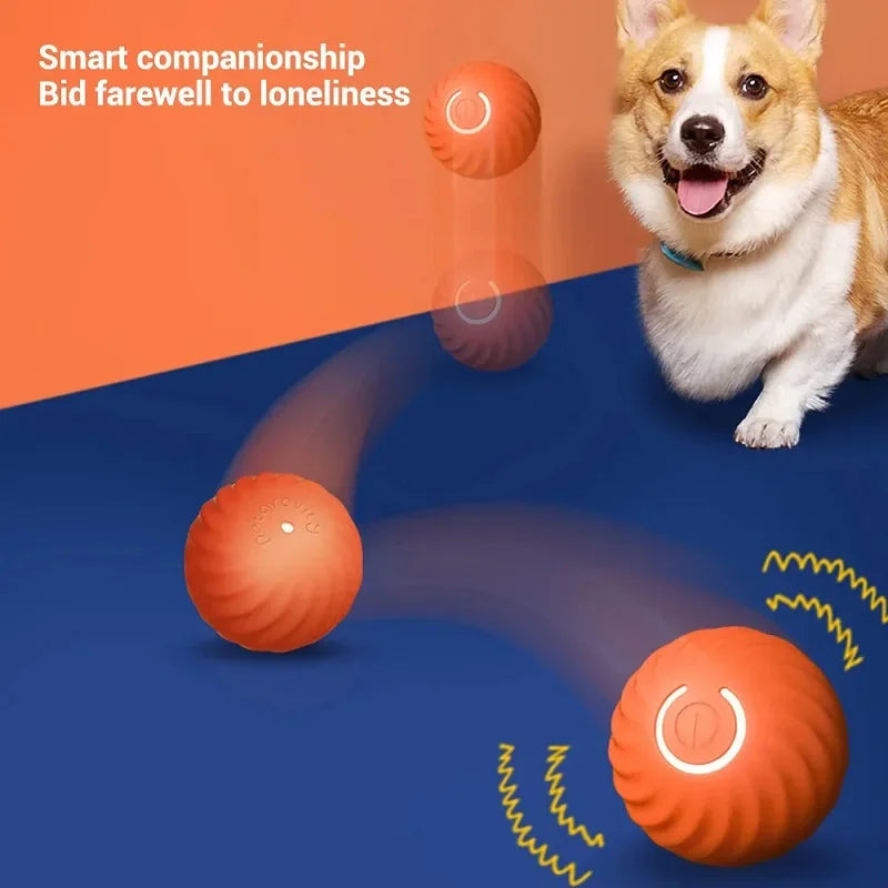 USB Rechargeable Moving Dog Ball