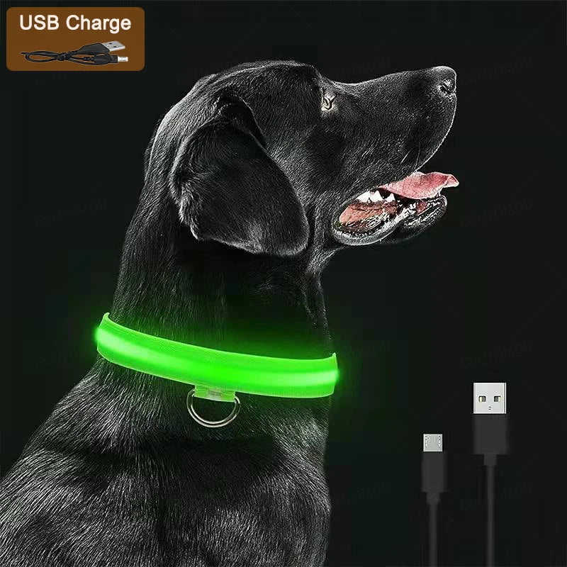 USB Rechargeable LED Dog Collar with 3 Light Modes