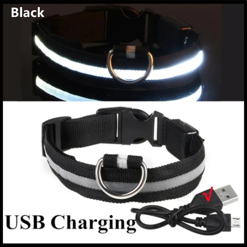 USB Rechargeable LED Dog Collar with 3 Light Modes