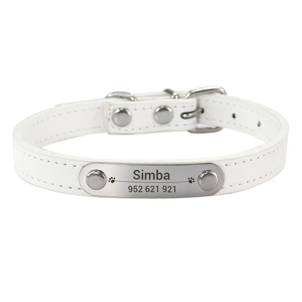 Personalized Dog Collar with Engraved Nameplate
