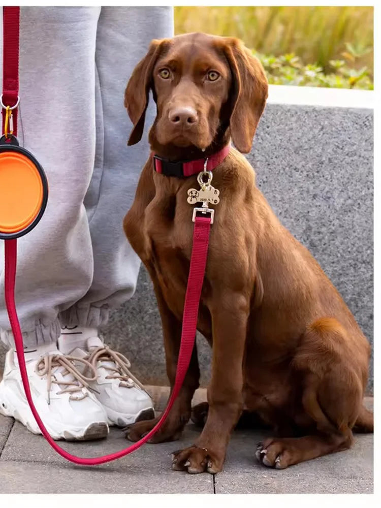 Collapsible Dog Travel Bowl with Hanging Clip