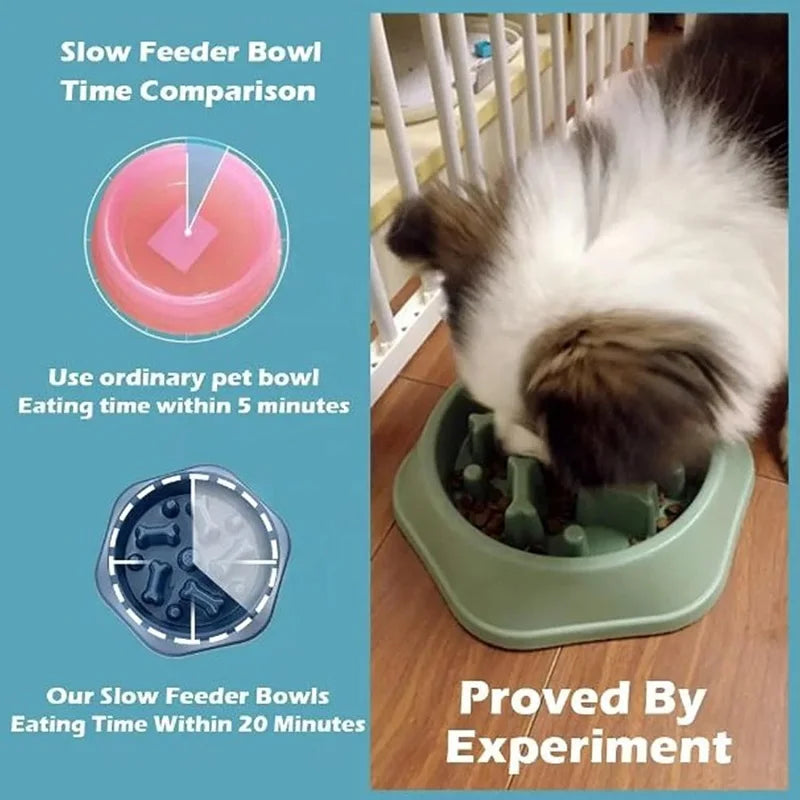 Slow Feeder Dog Bowl with Non-Slip Base
