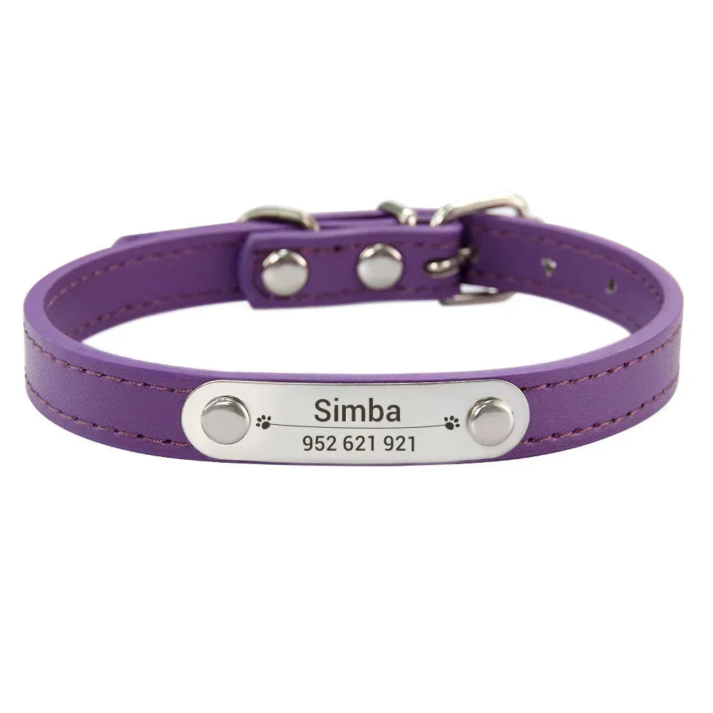 Personalized Dog Collar with Engraved Nameplate