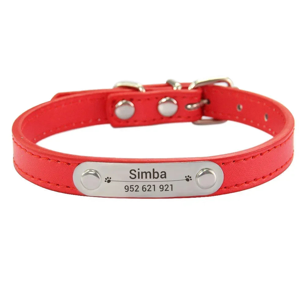 Personalized Dog Collar with Engraved Nameplate