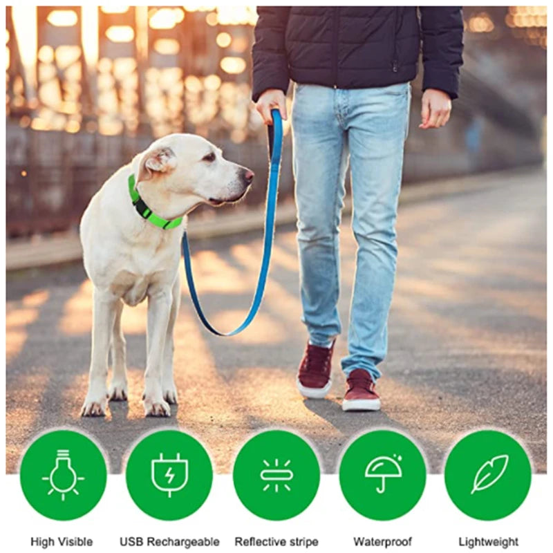 USB Rechargeable LED Dog Collar with 3 Light Modes