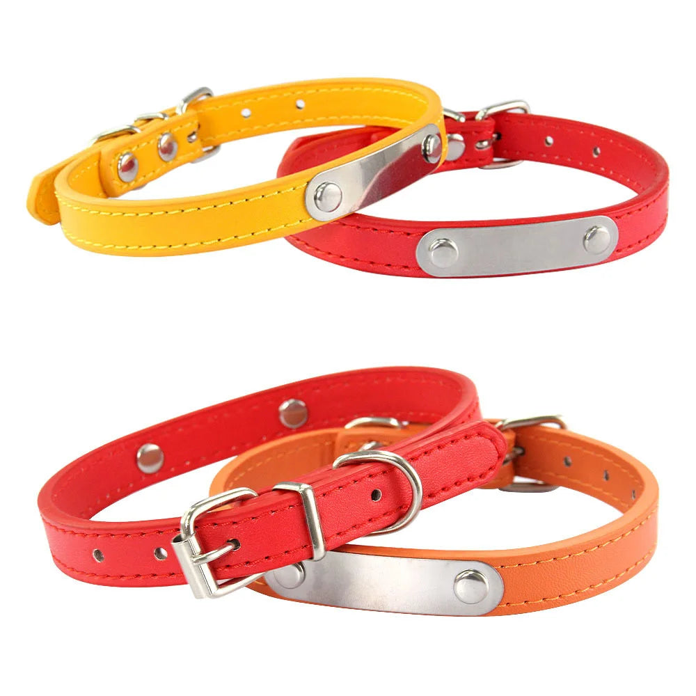 Personalized Dog Collar with Engraved Nameplate