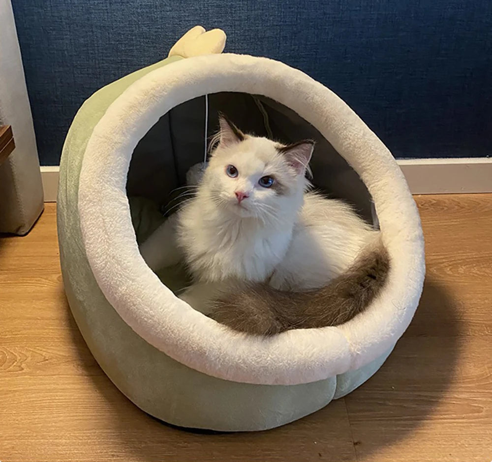 Cat Cave Bed with Removable Cushion