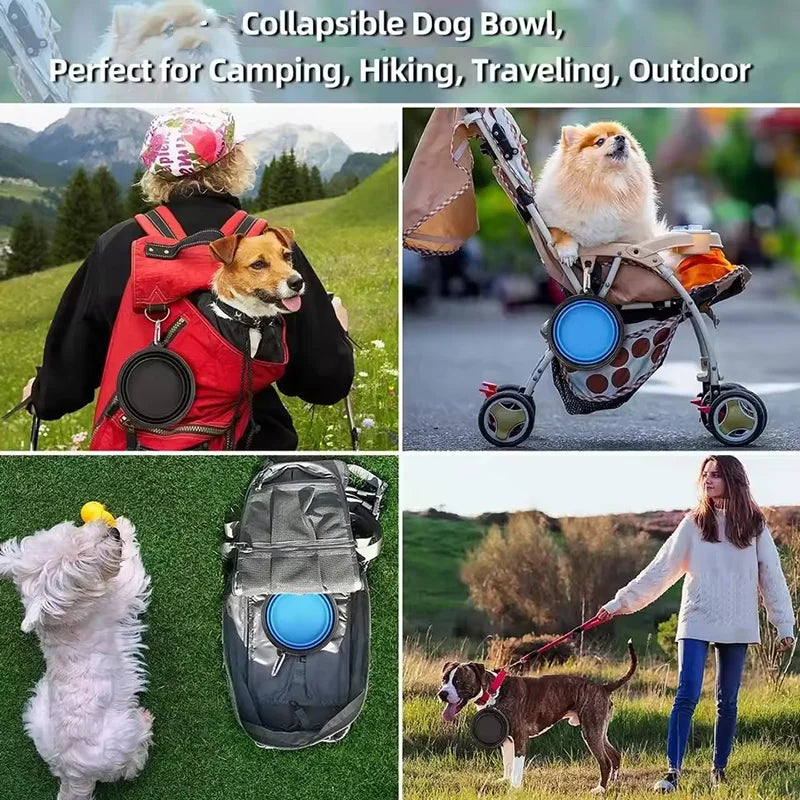 Collapsible Dog Travel Bowl with Hanging Clip