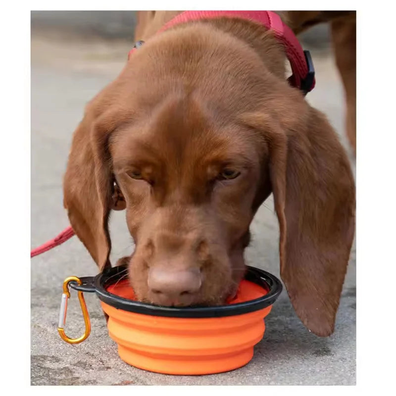 Collapsible Dog Travel Bowl with Hanging Clip