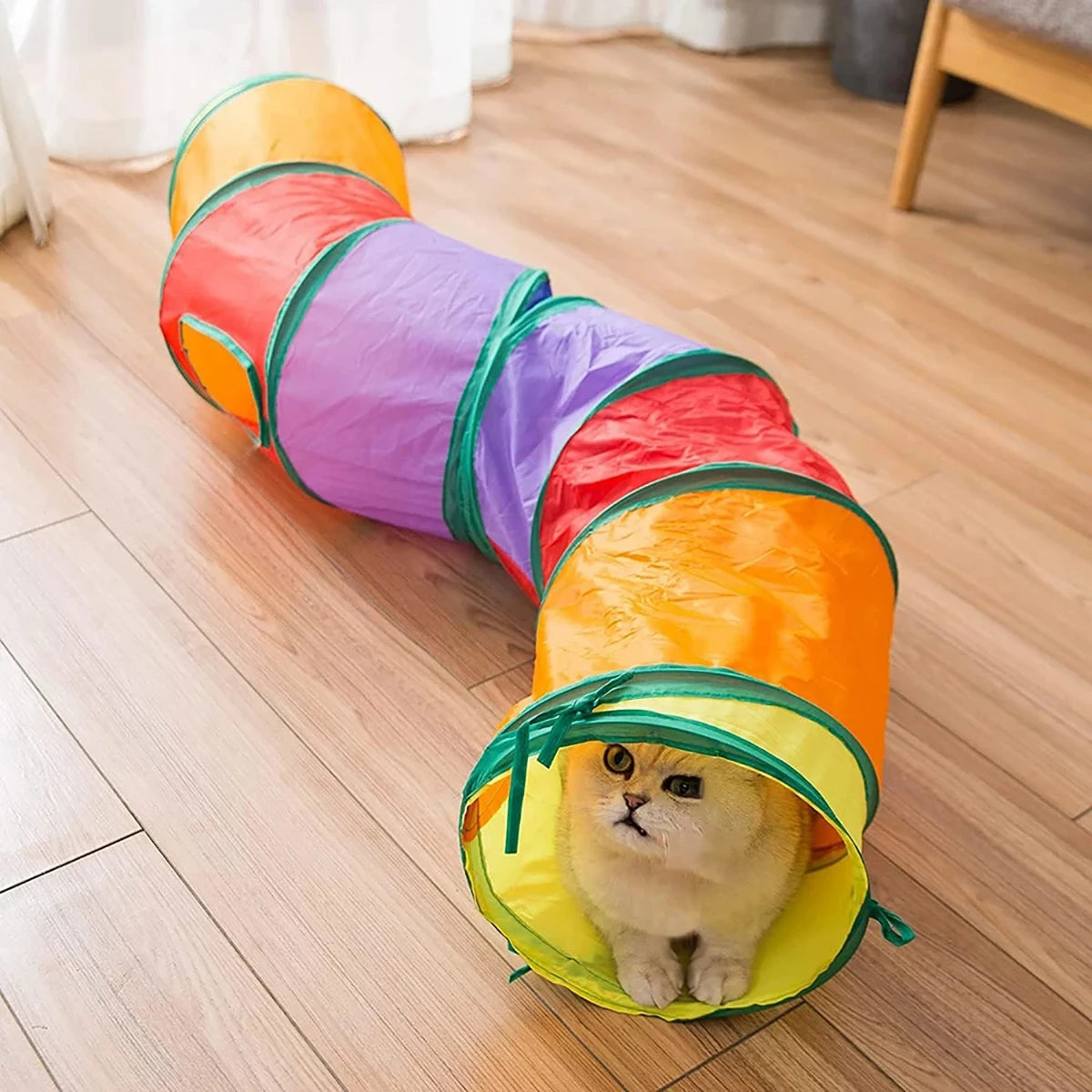 Collapsible Cat Tunnel for Indoor Play