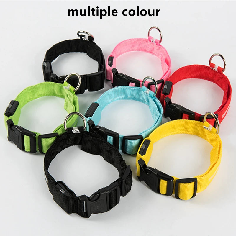 USB Rechargeable LED Dog Collar with 3 Light Modes