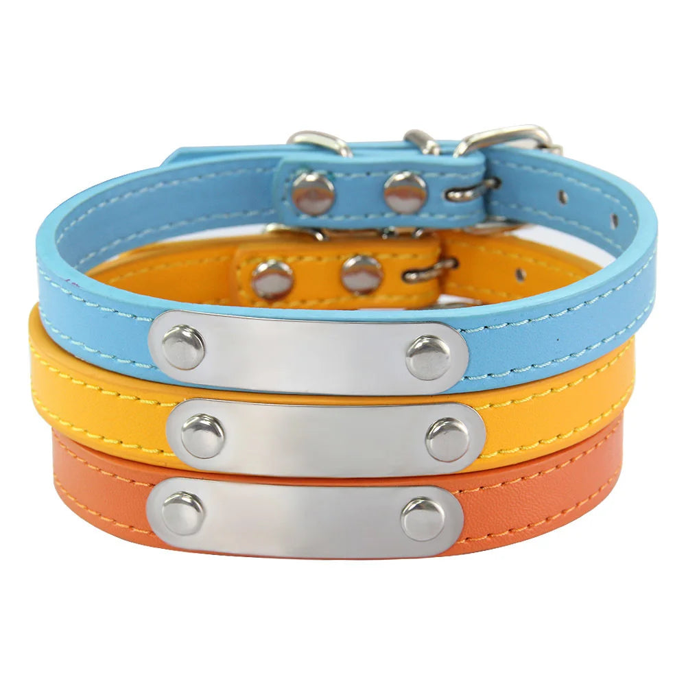 Personalized Dog Collar with Engraved Nameplate