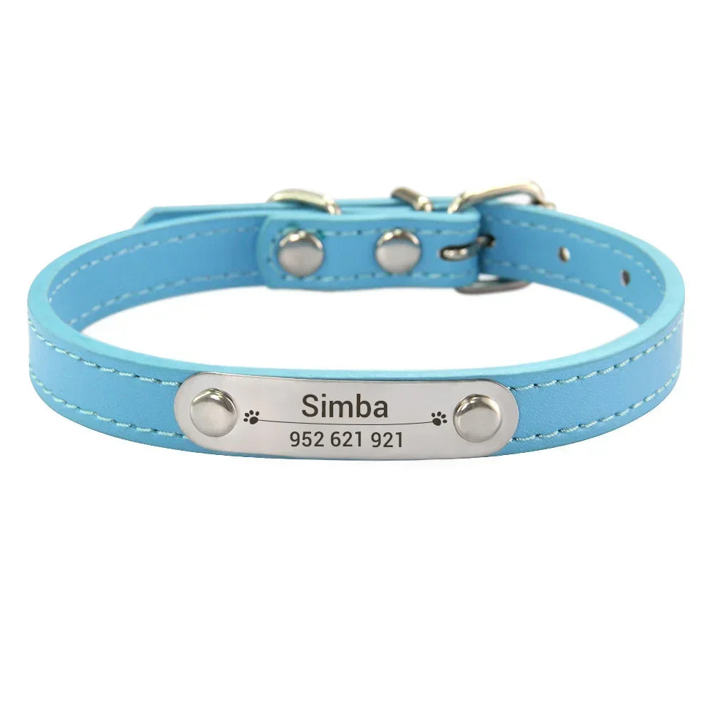 Personalized Dog Collar with Engraved Nameplate