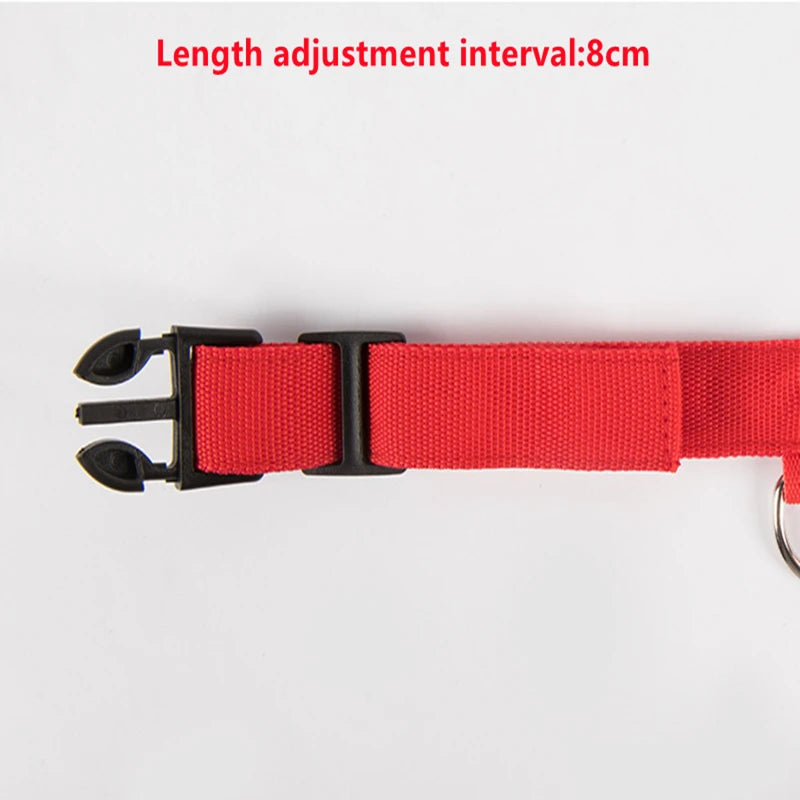 USB Rechargeable LED Dog Collar with 3 Light Modes