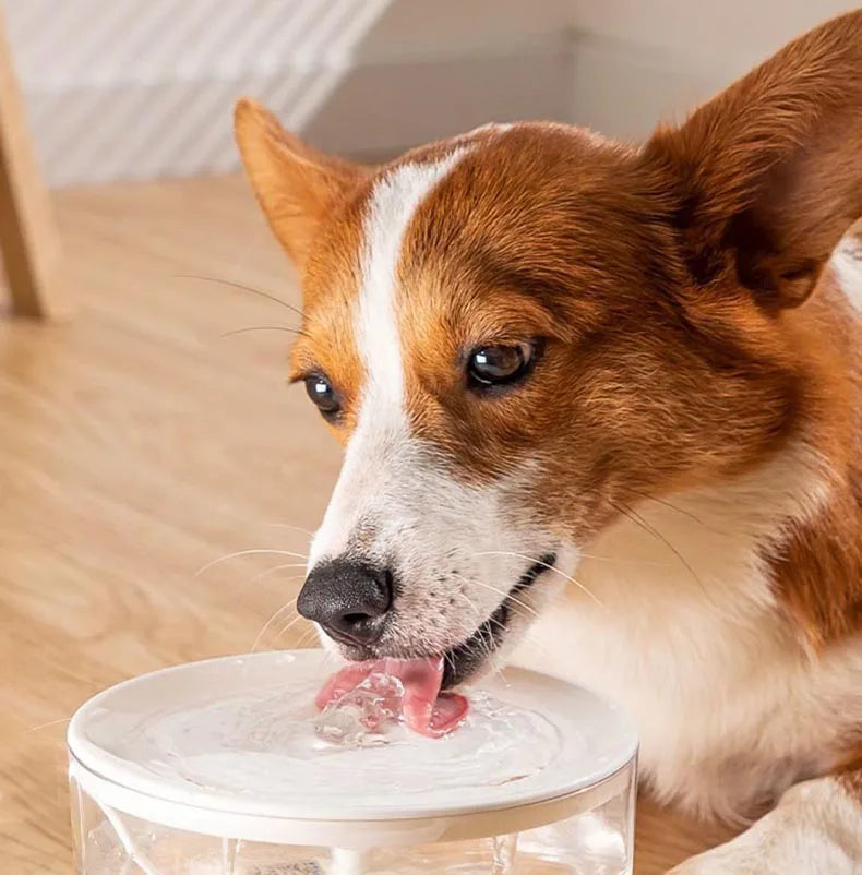 1L USB Cat Water Fountain