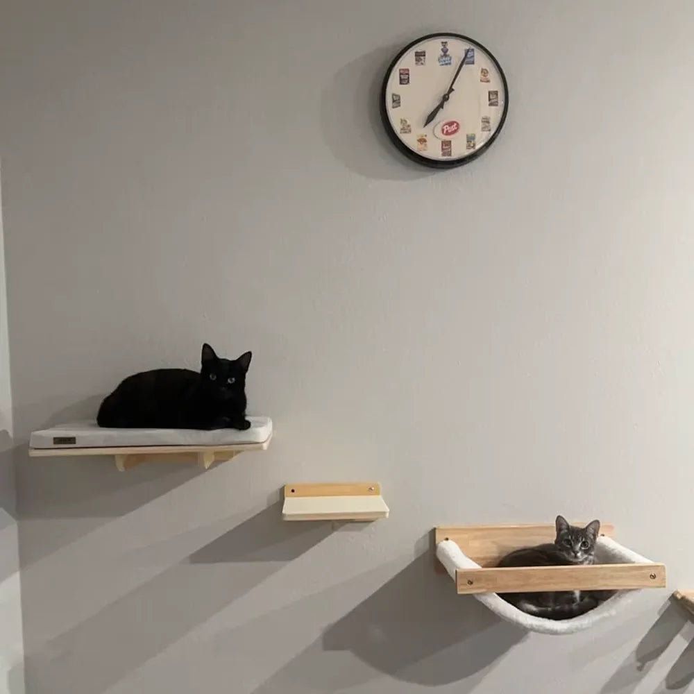 Wall-Mounted Cat Shelves & Climbing Furniture